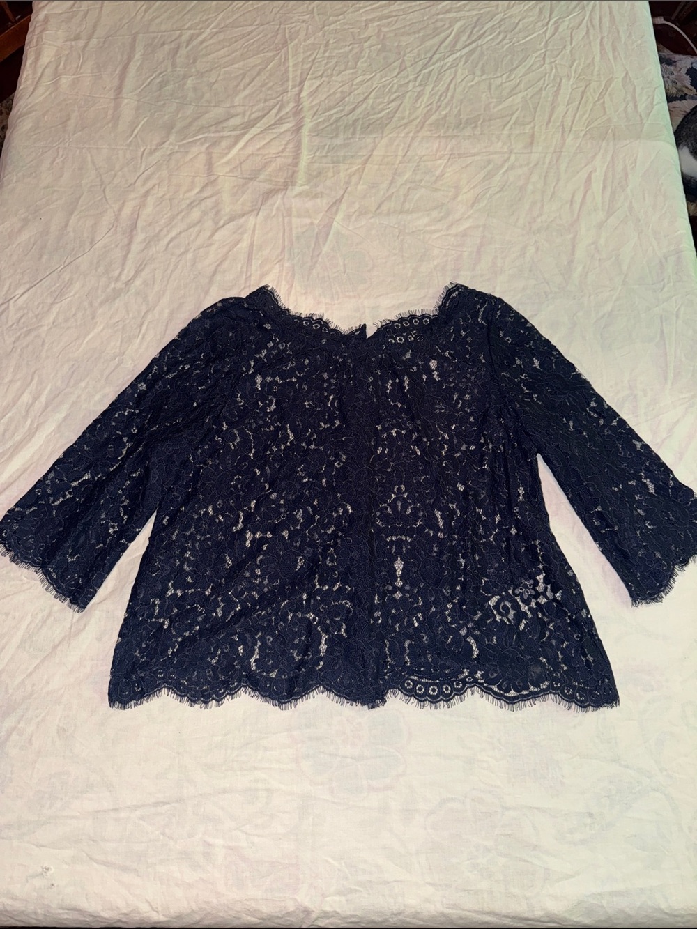 Joie Elvia Allover Lace Blouse Navy Blue Sheer 3/4 Sleeve Top Women's Size L